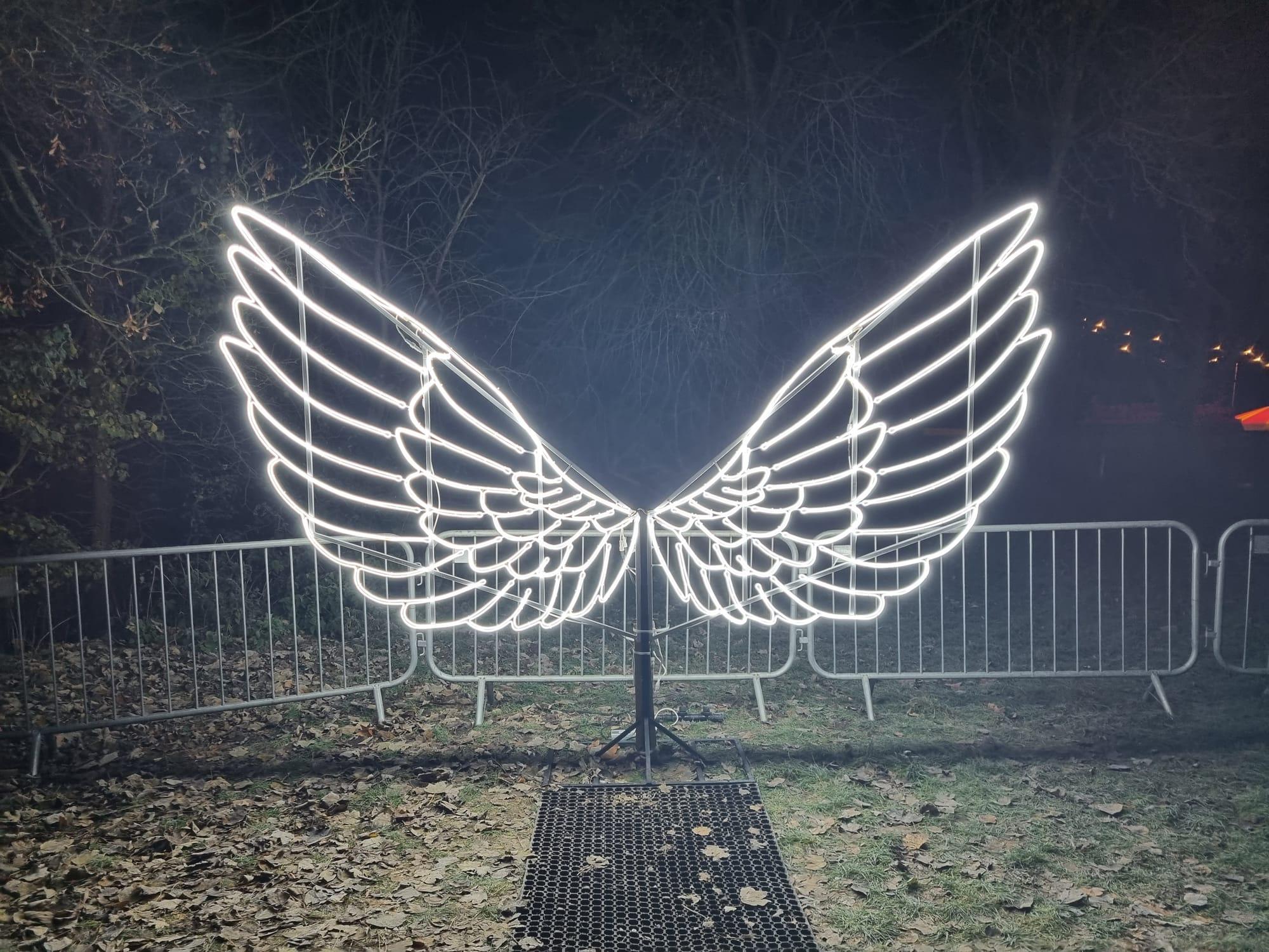 Giant illuminated angel-wings photo installation