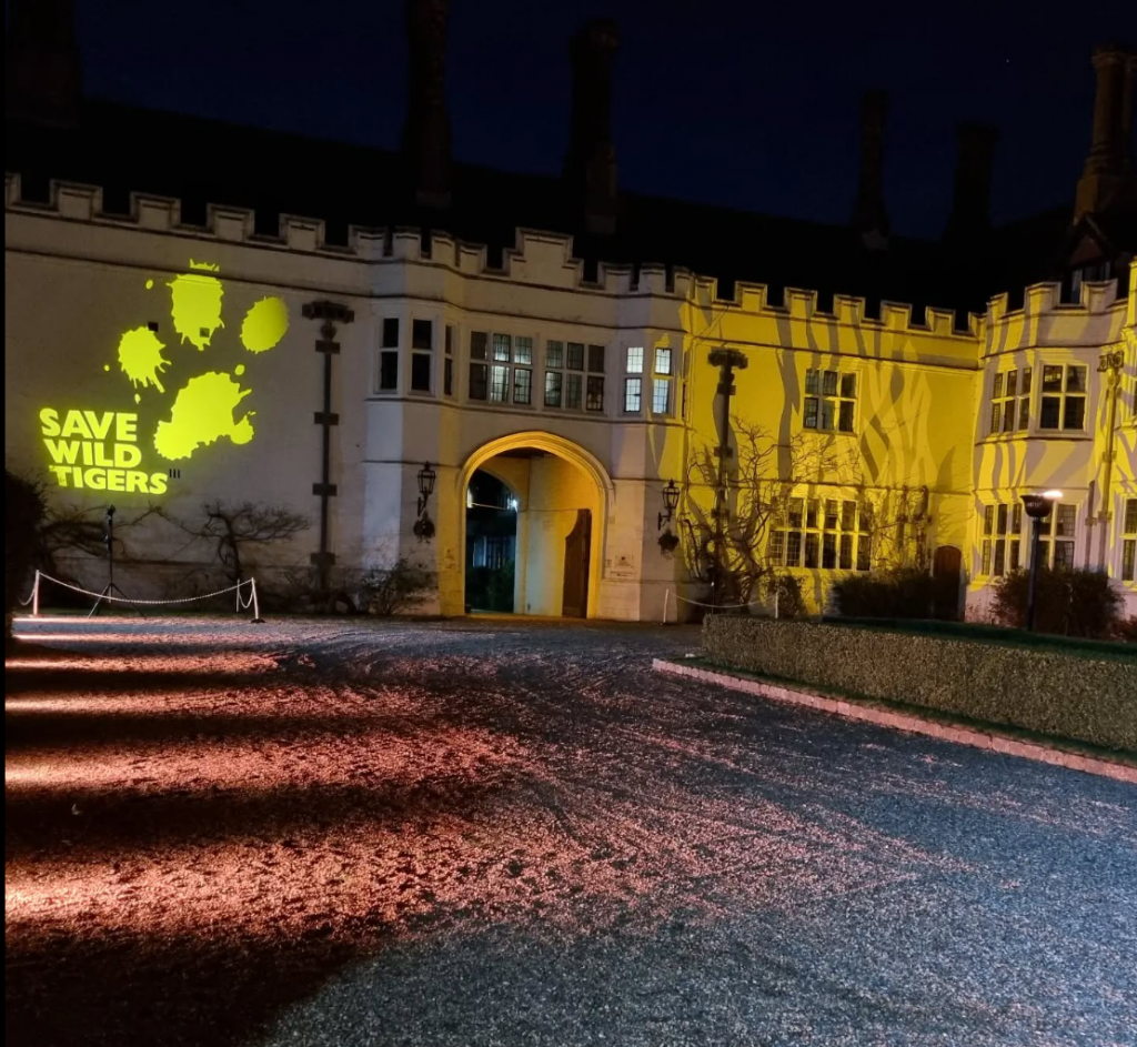 building lighting with logos