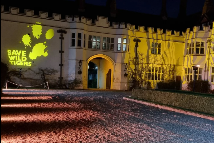building lighting with logos